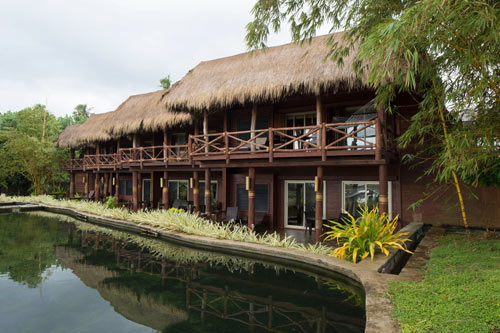 Treehouse Suite