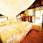 Standard Beachfront 1