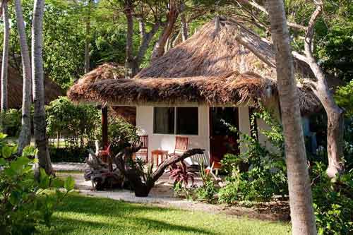 Island Bure