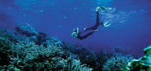 King-Solomon-Hotel-Honiara-Diving