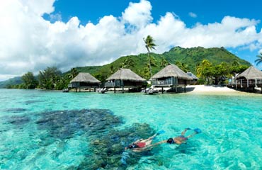 Garden Bungalow with Pool 1