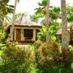 Plantation Bure TWIN 1