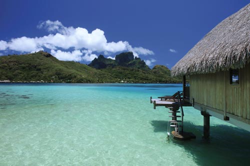 Luxury Lodge Bungalow, Ocean View