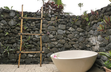 Paradise Taveuni Resort Holiday Packages