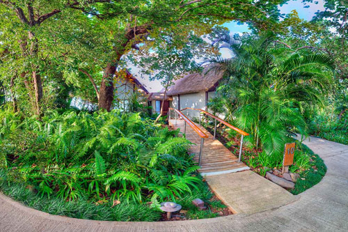 Island Plunge Pool Bungalow 1