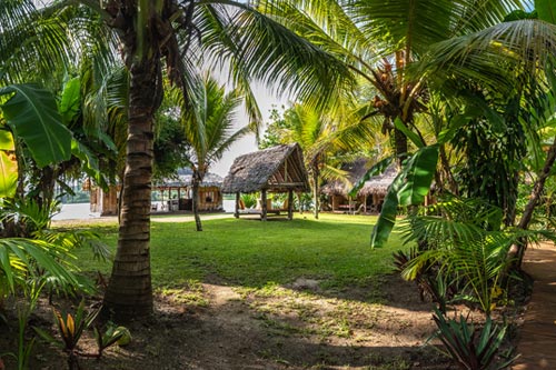 Deluxe Beachfront Marquee 4