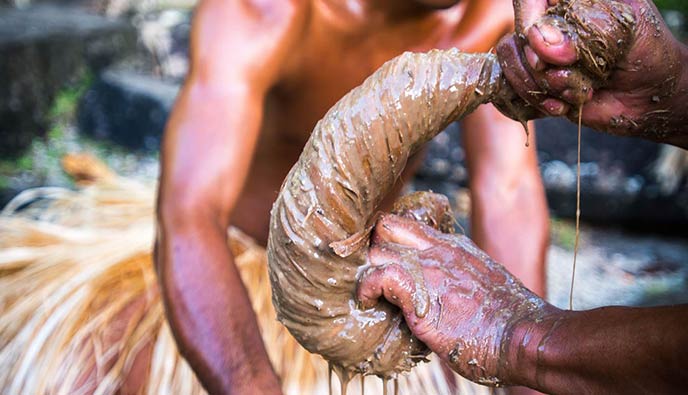 Explore Micronesia Culture - Making sakau or kawa
