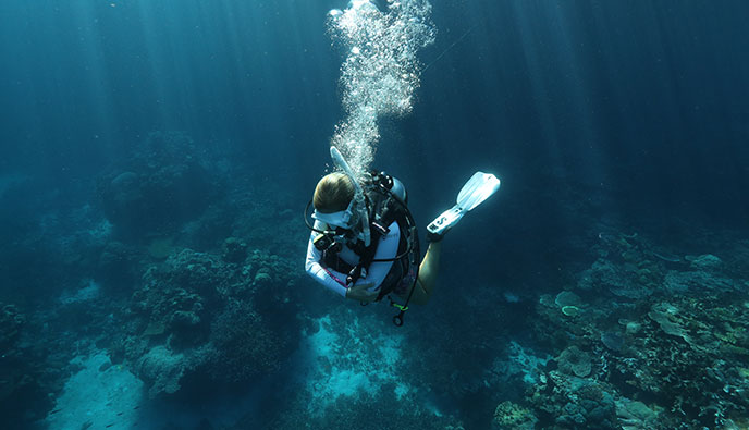 Explore South Pacific - Scuba Diving