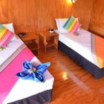 Premium Room (Hibiscus Bungalow) 2