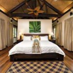 1 BDRM Garden Villa 1