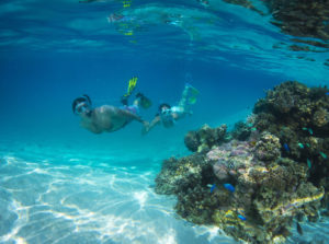 Couple snorkelling in Aitutaki lagoon off Honeymoon Island. Photographer: David Kirkland