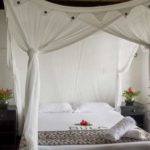 Seaside Standard Bure 3