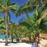 Sanctuary Rarotonga – On The Beach 2