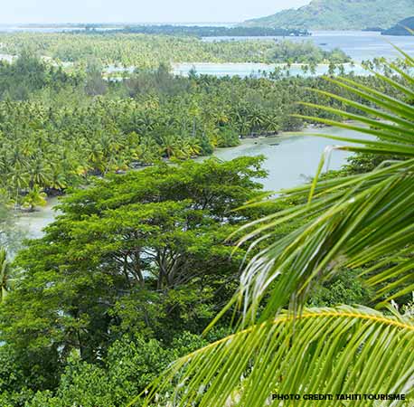 About Huahine