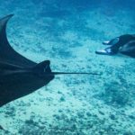 Manta Ray Bay Resort & Yap Divers 1