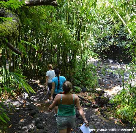 Best Time To Visit Tahiti