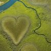 Heart of Voh, New Caledonia