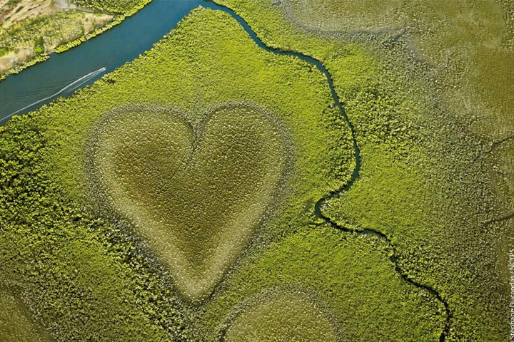 Heart of Voh, New Caledonia