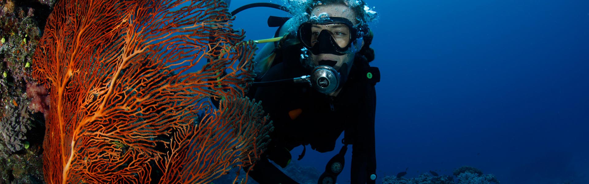 Jean-Michel Cousteau Resort