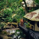 Koro Sun Resort & Rainforest Spa 4