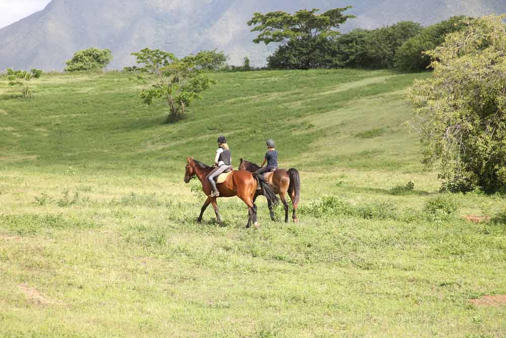 Horse riding in New Caledonia