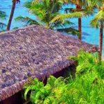 Rarotonga Beach Bungalows 4