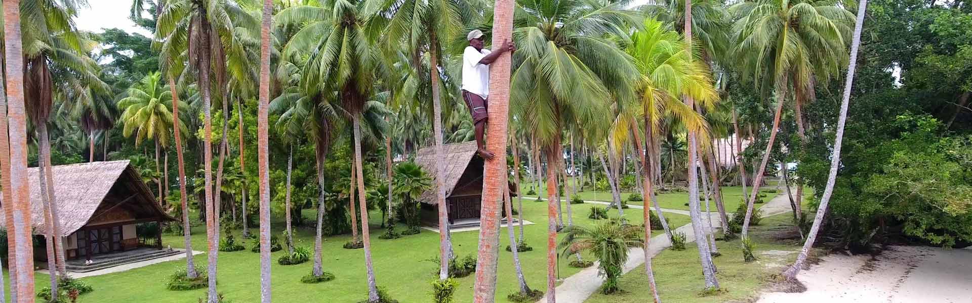 Tavanipupu Island Resort (Closed)