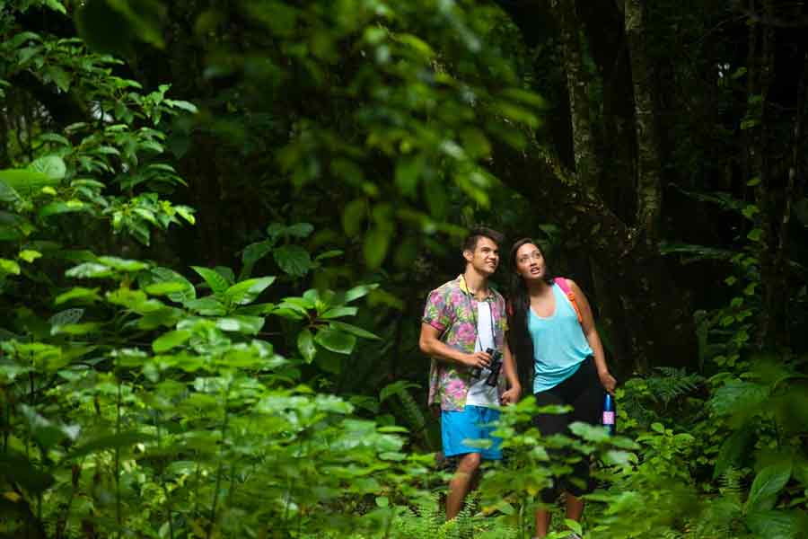 Atiu Cook Islands The Hidden Gem of Adventure Main