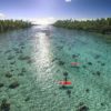 Coral gardens in Islands of Tahiti