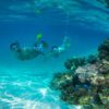 Couple Snorkelling in Aitutaki Lagoon Main