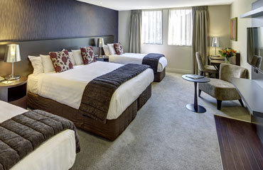 Executive Deluxe Room