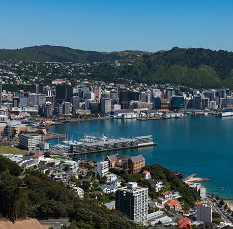 About Wellington