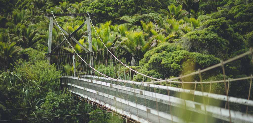 The suspension bridge at one point of the Heaphy Track in New Zealand.