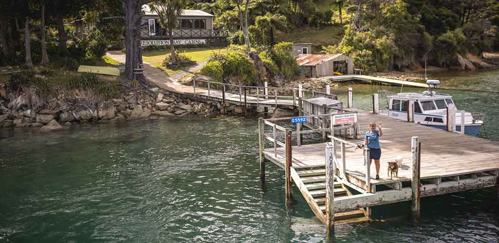 A boat ready for travellers next to a jetty in Picton, Marlborough Sound. Pic credit: Miles Holden.