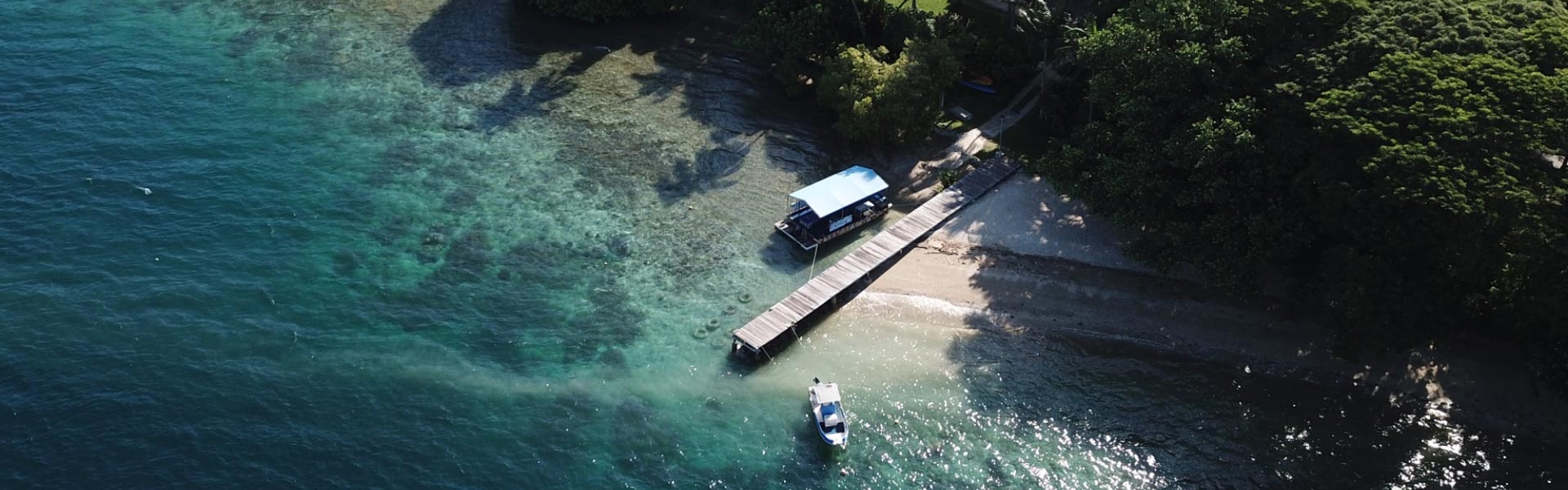 Coral Quays Fish and Dive Resort