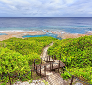 Niue Destination