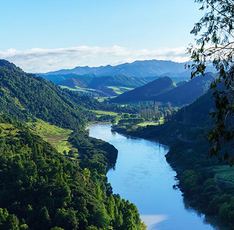 About Whanganui