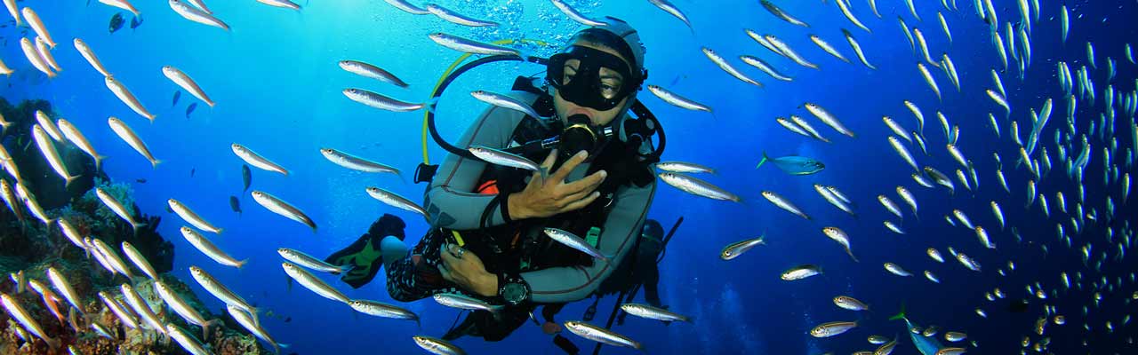 Hideaway Holidays South Pacific Diving Packages