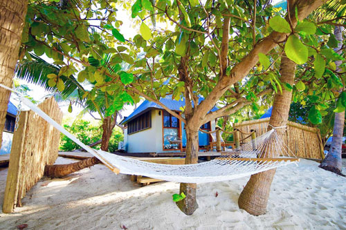 Palmview Bure 1