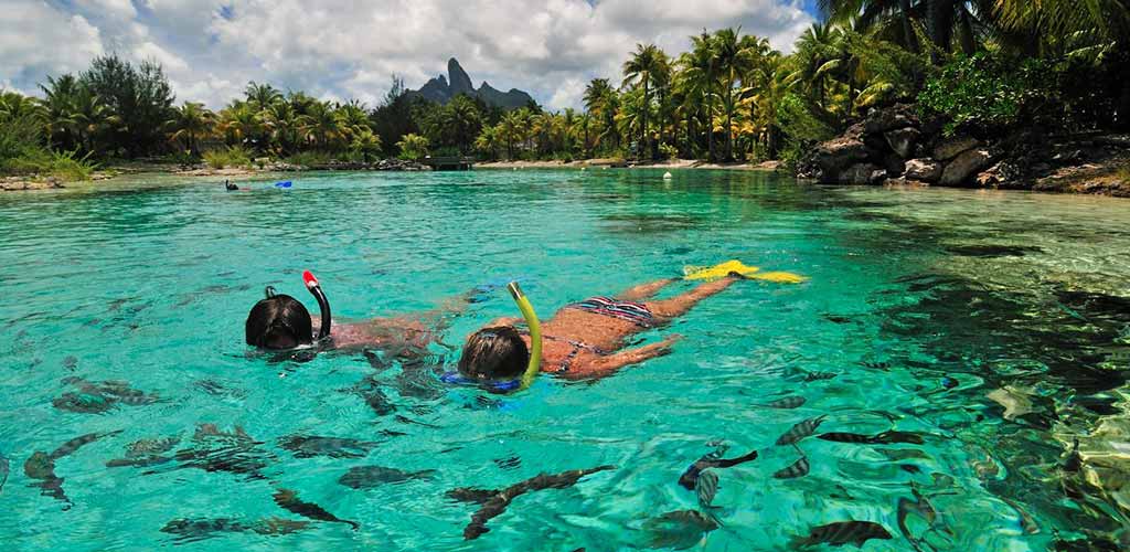 Snorkelling off the beach at St Regis Bora Bora - there's plenty of fish in the sea!