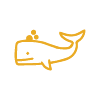 Whale Sightseeing