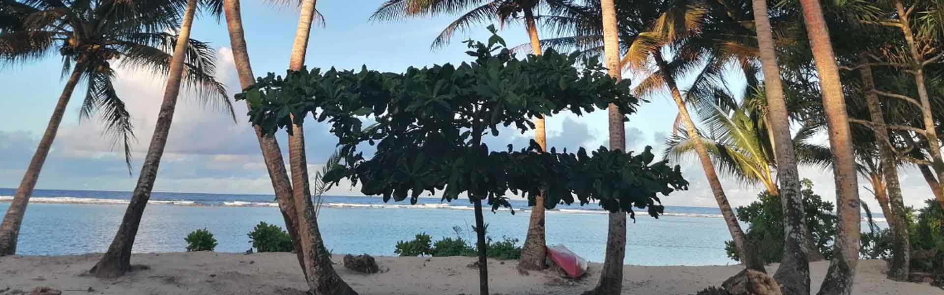 Island Hopper Hotel