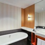 Deluxe King with Terrace