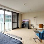Deluxe King with Terrace 1