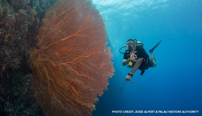 Explore Palau Federated State of Micronesia