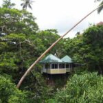 Treetop Villa 3