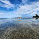 Low Tide