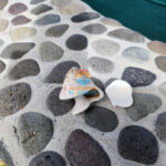 Shells