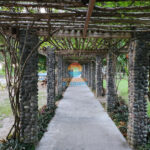 Walk Way