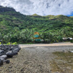 Low Tide